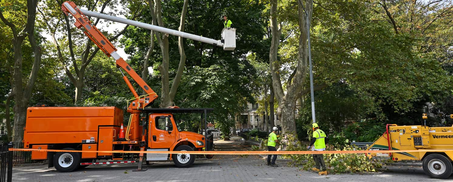 Top Cut Tree Service crew — trimming job Columbia