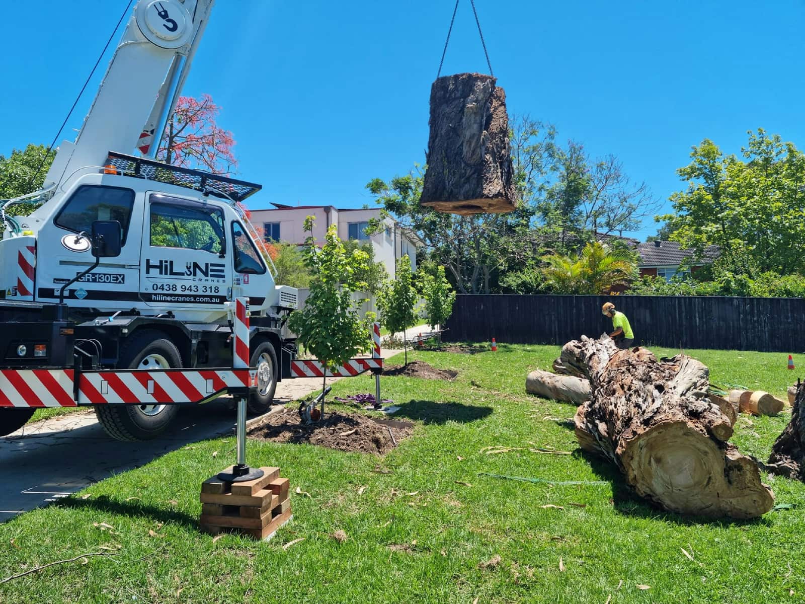 Completed tree work in Columbia